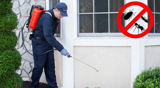 Marmara Gümüşkurt İlaçlama böcek ilaçlama ve haşere kontrolü — ilaclama-tr.com
